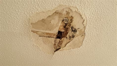 Do not disturb artex unless it has been tested and you are positive it does not contain asbestos! Artex ceiling repairs? Treat with caution - the Artex ...