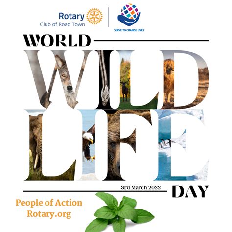 World Wildlife Day 2022 Rotary Club Of Road Town