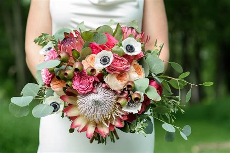 Jan 15, 2015 · the species includes 30 additional flowering plants and it is originally from africa and the mediterranean region. South African flowers for your bouquet