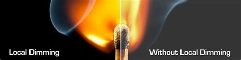 In the full array led vs. OLED vs LCD vs Plasma - Which Is Best? 2020 Guide