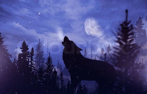 Wolf Heulen Mond Stock Bild Colourbox