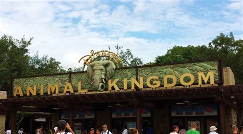 What I Wish I Knew Before My Trip to Animal Kingdom - TouringPlans.com Blog