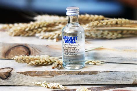 easy homemade absolut vodka what is it made from