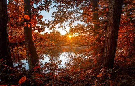 Wallpaper Autumn Forest The Sun Lake Foliage Colors Forest