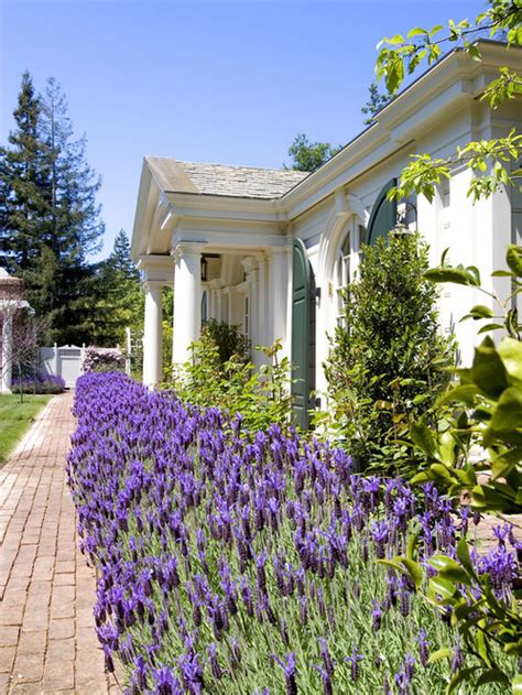 Front Yard Sweeps Lavender Home Design Ideas Pictures Remodel And Decor