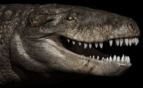 Meet Razana The Impressive Prehistoric Crocodilian That Ate