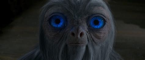 Keep checking rotten tomatoes for updates! Tips & Tricks for Creating Fantastic Beasts From the ...