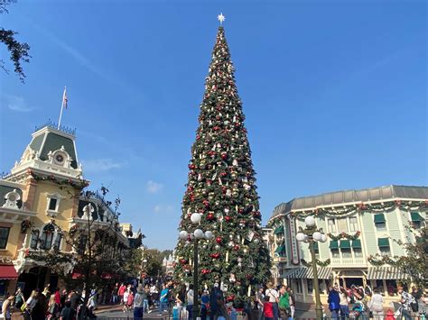 Photos Christmas Tree Entrance Decorations Up At Disneyland Wdw