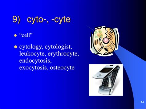 PPT  Latin and Greek in Biology PowerPoint Presentation, free download