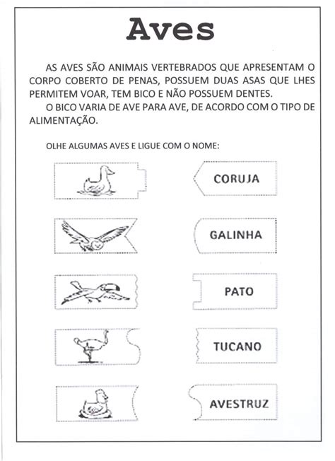 Atividades Sobre As Aves