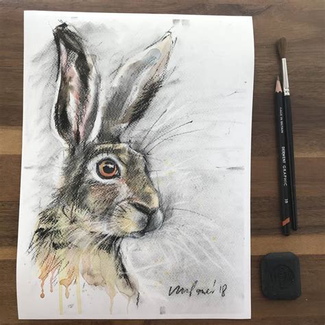 Hare 33 Charcoal Ink And Watercolour Hare Drawing Drawing By Luci