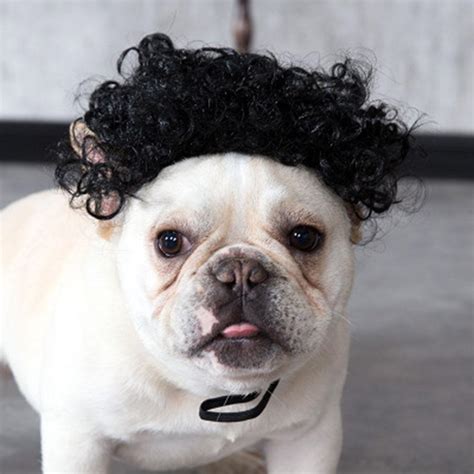 Funny Pet High Temperature Wire Wig Clown Curly Wig Dog