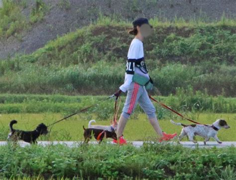 有关历史、生物、科技、人文、地理、生活等所有话题。 not a satire/meme sub, english speakers please refer to rule 6. 坂上家の犬 | 坂上忍の犬は何匹いる？猫も飼っている？画像と ...