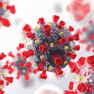 Coronaviruses are a group of related rna viruses that cause diseases in mammals and birds. COVID-19 and IBD - News and Events - Crohn's and Colitis ...