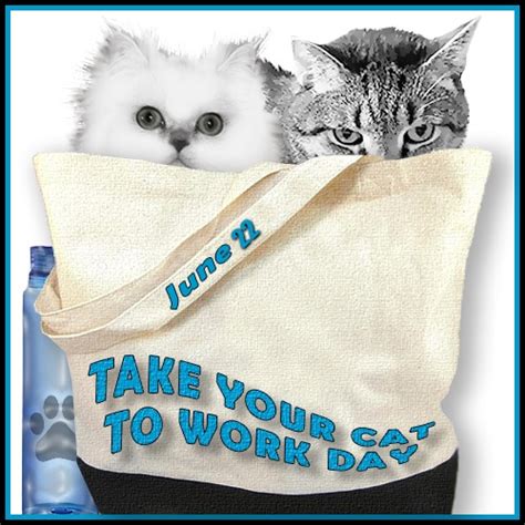 Take Your Cat To Work Day 622 Blog Links The Cat Blogosphere