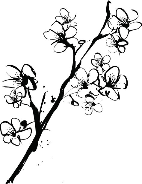 Sketch Cherry Blossom Tree Drawing Japanese Tree Sketch At