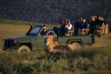 2023 2 Day Safari Experience From Cape Town