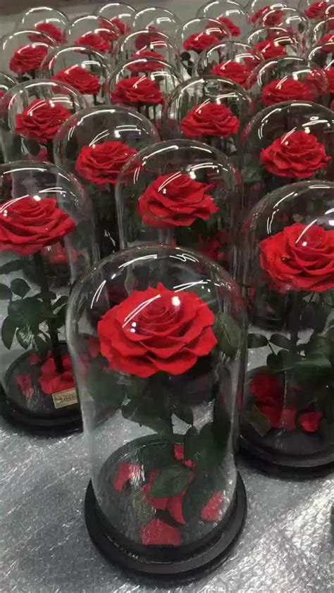 Beautiful Rose Flowers Everlasting Rose Preserved Flower ...
