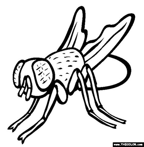 Tedd arnold is the bestselling author and illustrator of the fly guy, green wilma, parts, and huggly series, and the illustrator of detective blue. Fly Guy Coloring Pages - Coloring Home