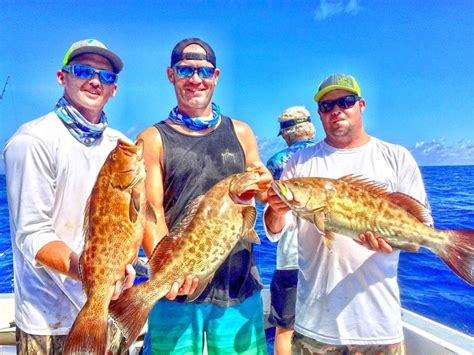 Find 21,804 tripadvisor traveller reviews of the best tacos and search by price, location, and more. VENICE, SARASOTA & SIESTA KEY FISHING CHARTERS