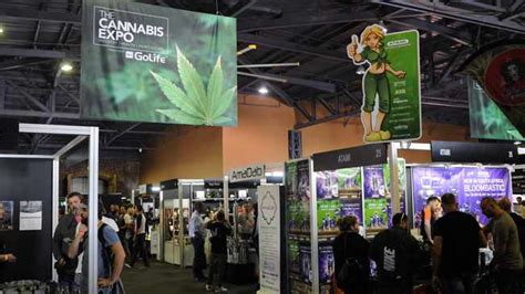Massive Demand For Medical Cannabis Say Experts At Cannabis Expo