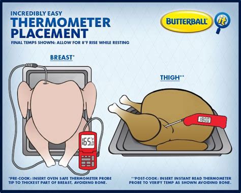 Cooking chicken times for whole and fryer chicken including baking times and temperatures. How To Place A Meat Thermometer | Turkey temperature, Meat ...