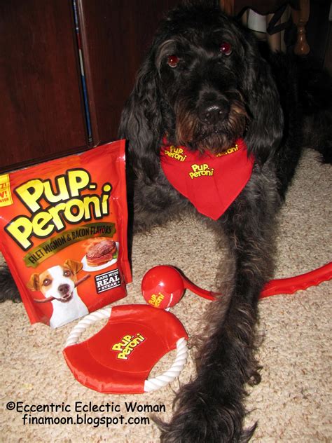 Eccentric Eclectic Woman: Bacon: Man's Best Friend's Best Friend #