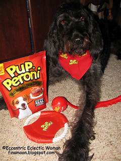 Doggone Great Deals Unveiling The Best Prices For Man S Best Friend On Allentown Craigslist