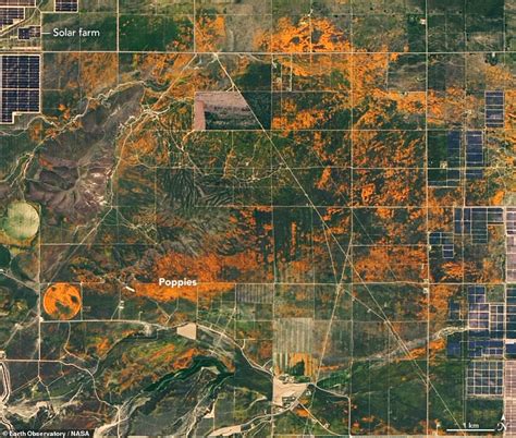 Maybe you would like to learn more about one of these? NASA Shared Image of Unexpected Superbloom of Orange ...
