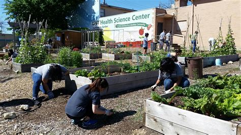 What Is A Community Garden Operations