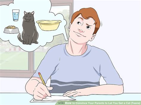 How to Convince Your Parents to Let You Get a Cat (Teens)