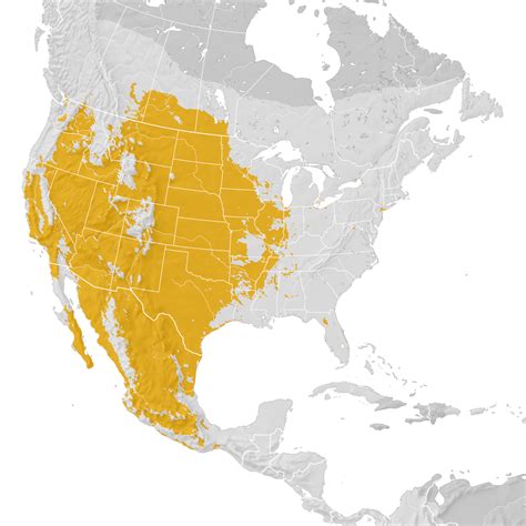 Lark Sparrow Range Map Pre Breeding Migration Ebird Status And Trends