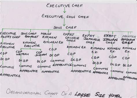 Top 5 restaurant organizational chart examples, kitchen organization chart chef hierarchy erul info, organizational chart of hotel and restaurant www, kitchen organization chart organisation 5 star hotel company, types of hotels classification of hotel by type. FYCHEFS: ORGANISATIONAL CHART OF A LARGE SIZE HOTEL