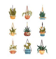 There might be few reasons that lead to cactus rotting. Linear design potted cactus elements of a vector image on ...
