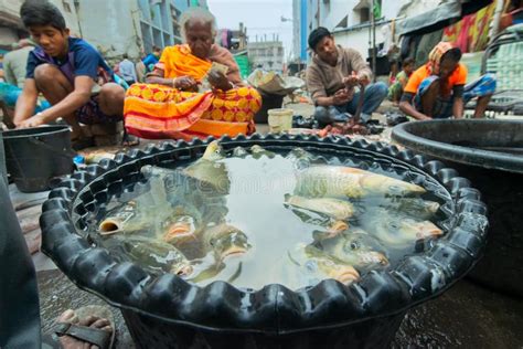 Fish Market Kolkata India Editorial Image Image Of Ingredient