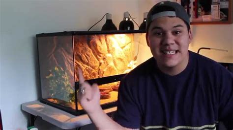 When the thermal fuse blows on your whirlpool gas dryer, it will operate, but won't heat. Bearded dragon Cage Setup - YouTube