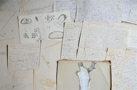 Les pertes peuvent atteindre 10 q/ha en blé tendre et 35 en blé dur si la fonte de semis a été très importante. MYCOLOGIE. Jules de Seynes, ensemble de manuscrits sur la maladie du Châtaignier - Traces ...