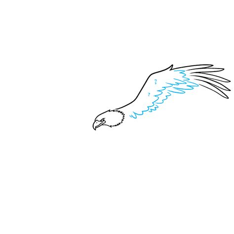 How To Draw A Bald Eagle Flying Really Easy Drawing Tutorial