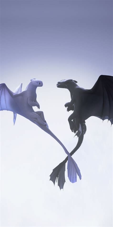 Httyd Toothless And Light Fury Wallpaper The Hidden World 5k Toothless