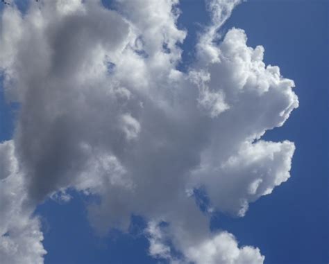 White Puffy Clouds Free Stock Photo Public Domain Pictures