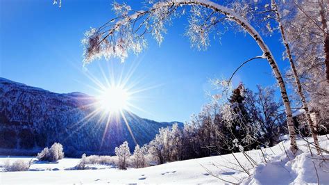 Winterscape Wallpapers Wallpaper Cave
