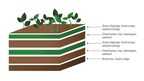 How To Fill A Raised Bed Ultimate Gardeners Guide Fresh Exchange