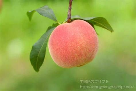 Learn about 汉语教程 with free interactive flashcards. 大暑の意味・食べ物・歴史と仕組みの図説 【大暑2020年はいつ？】