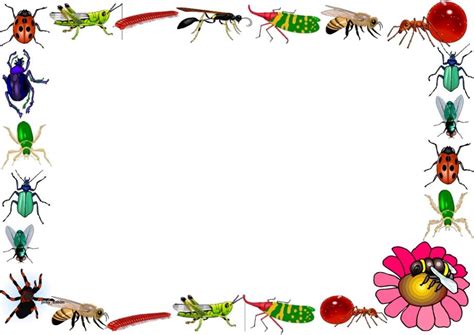 Insects Themed Lined Paper And Pageborders