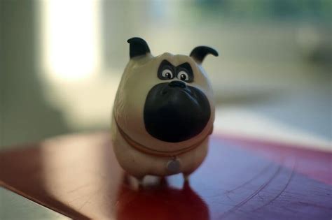 275+ Cartoon Dog Names – From Paw Patrol to Disney & More!