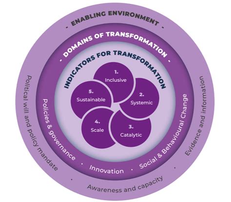 Unpacking Transformation A Framework And Insights From Adaptation