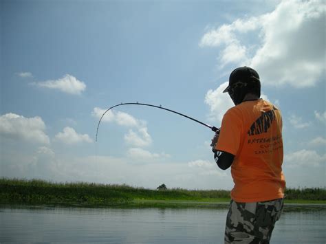 Sharing the love of fishing with all Free Images : fisherman, fish, catch, hobby, angler ...