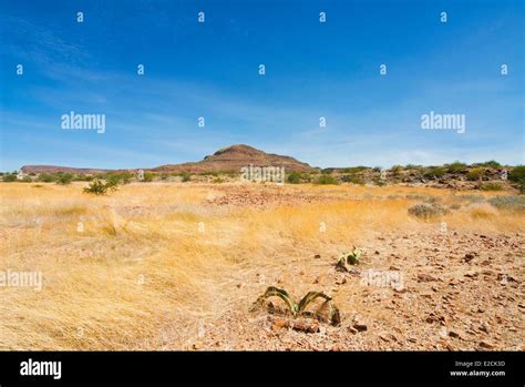 Namibia Kunene Region Damaraland Stock Photo Alamy