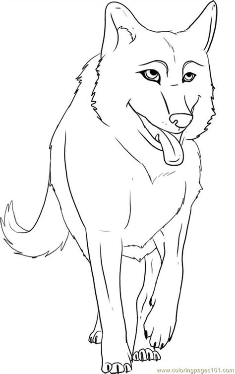 Coloring Pages To Draw A Cartoon Wolf Step 6 Animals Wolf Free