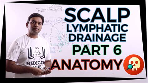 Anahnb036 Scalp Part 6 Lymphatic Drainage Anatomy Dr Prashant